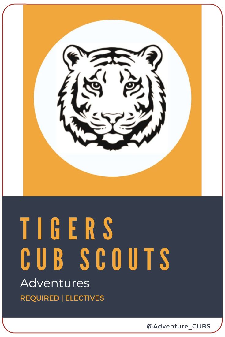 Tiger | A First Grade Adventure - Adventure CUBS