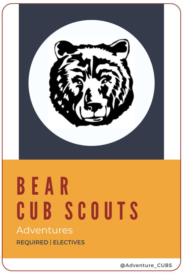 Bear Elective Adventures - Adventure CUBS