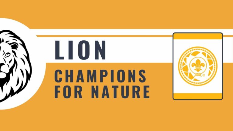 LION | Champions For Nature Lion Elective Adventure