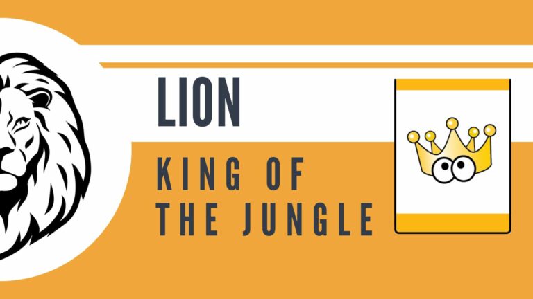 LION | King of the Jungle Rank Adventure