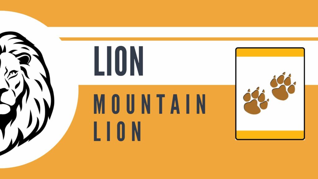 LION | Mountain Lion Required Rank Adventure - Adventure CUBS